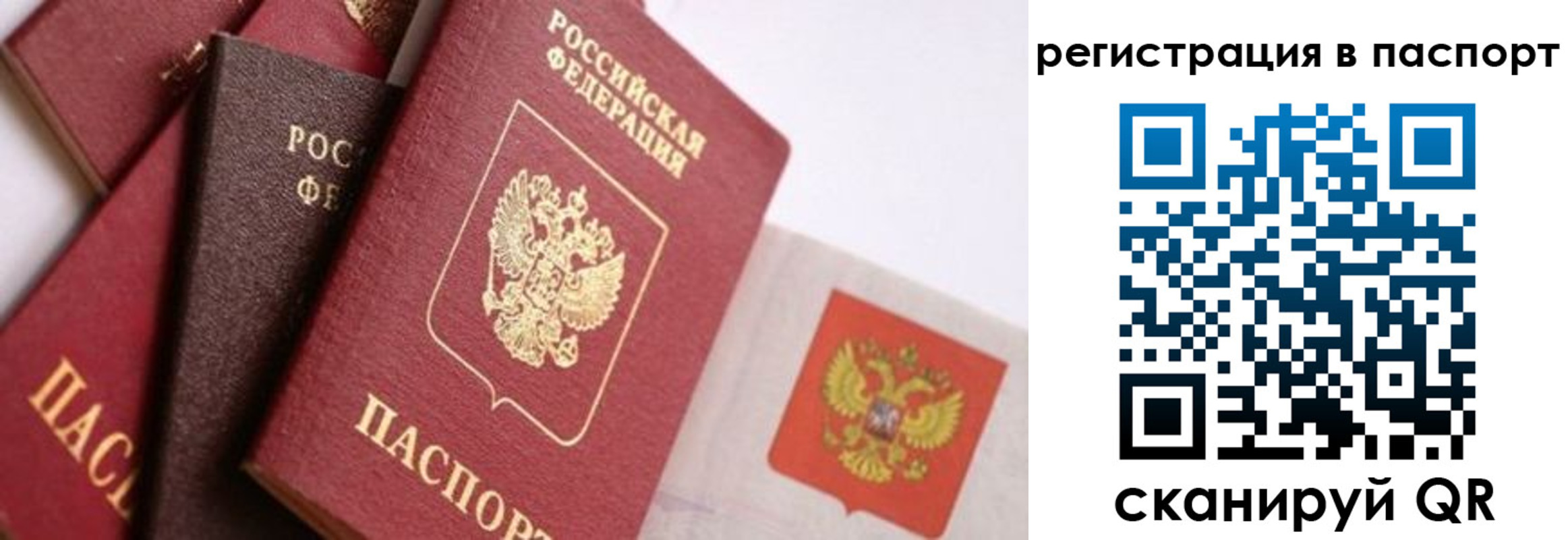 прописка в квартире в Большом Камне